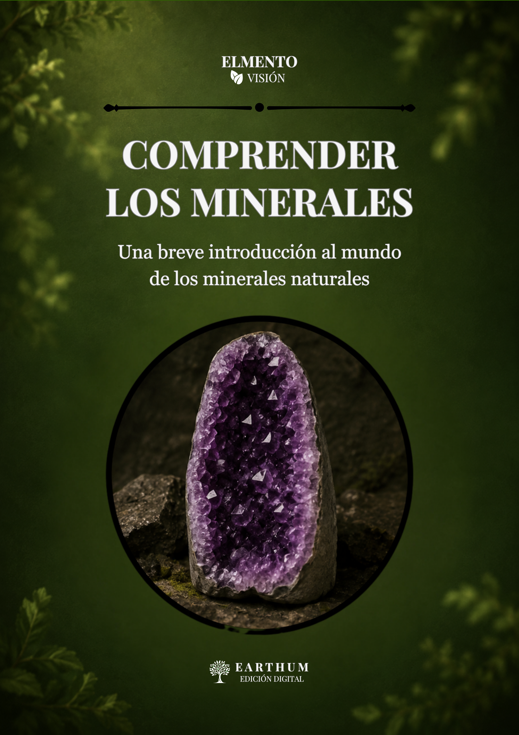 Comprender Minerales Cover