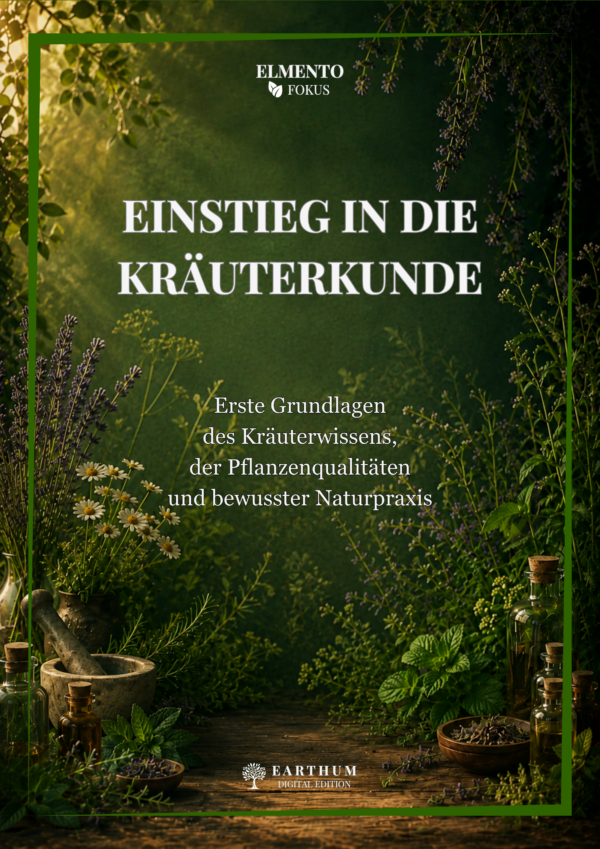 KRÄUTERKUNDE EINSTIEG